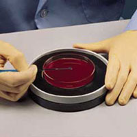 LAB-TEK* PETRI DISHES, POLYSTYRENE, NUNC*